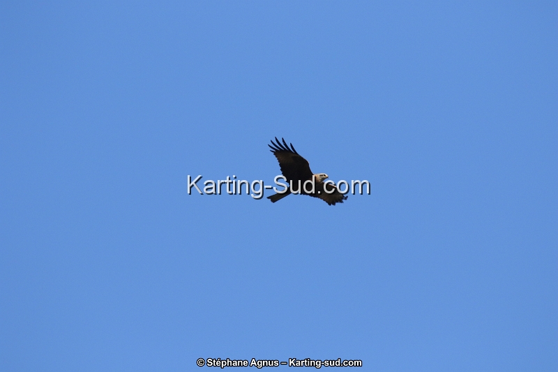 1G8A3338.JPG