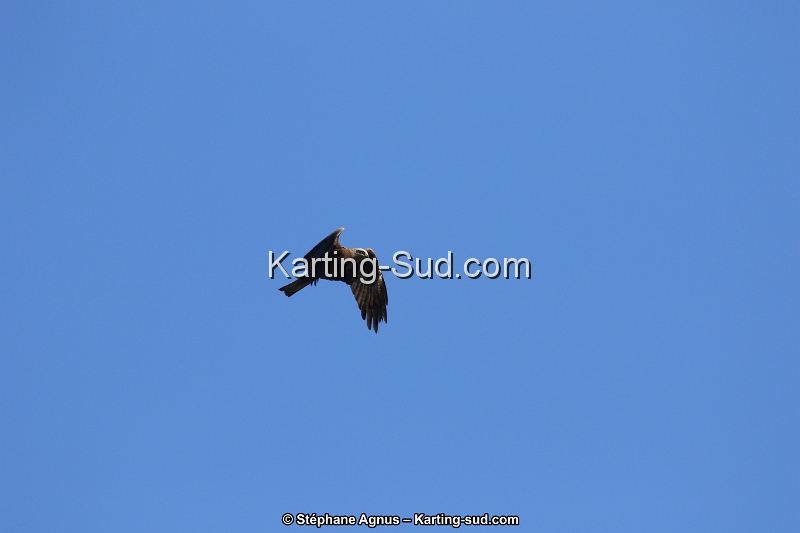 1G8A3339.JPG