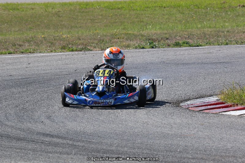 IMG_7031.JPG