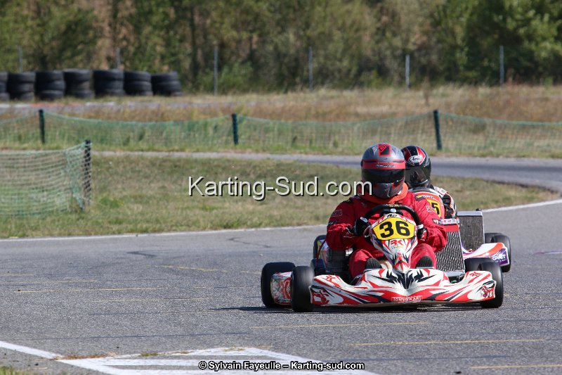 IMG_9772.JPG