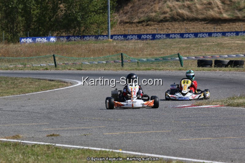 IMG_9921.JPG