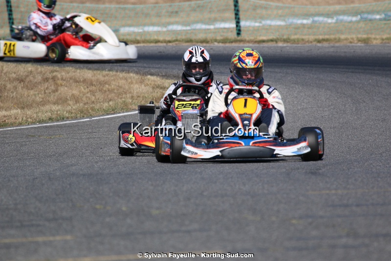 IMG_2599.jpg