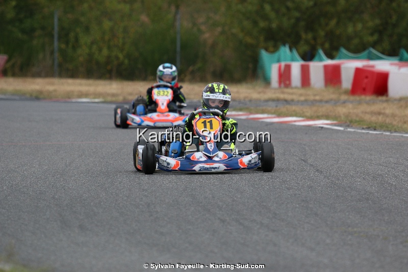 IMG_4315.jpg