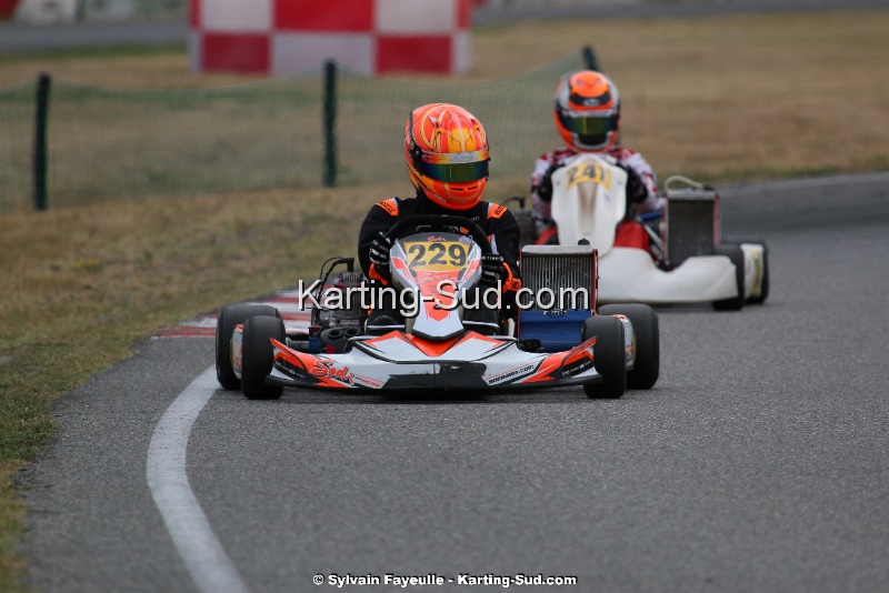 IMG_5884.jpg
