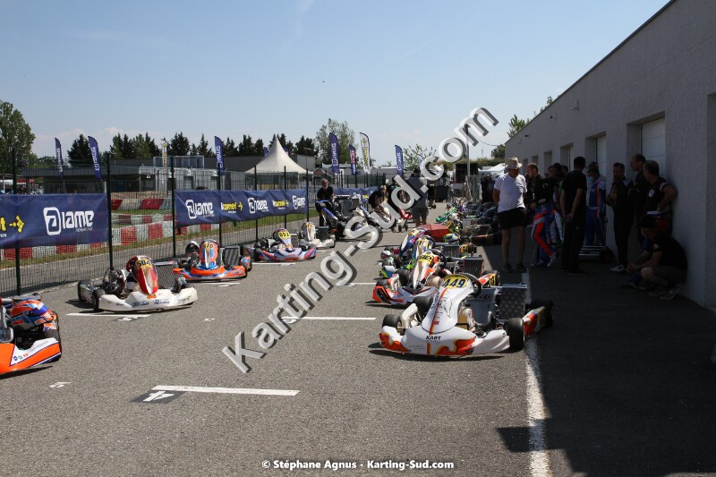 IMG_6775.jpg