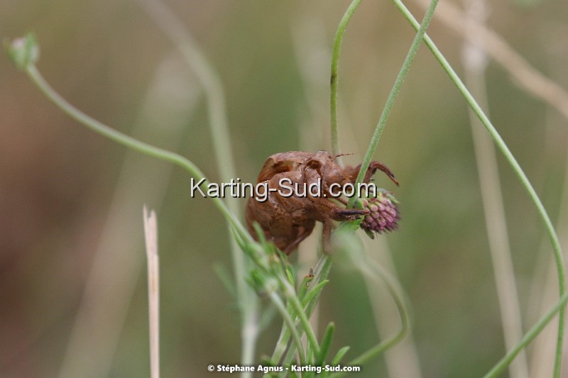 1G8A8547.jpg