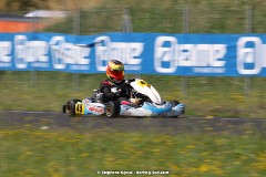 1G8A7796
