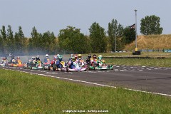 1G8A9636