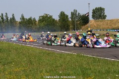 1G8A9639