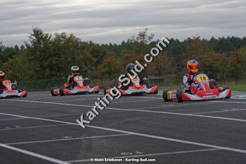 KAR_8415KART-DIM.jpg