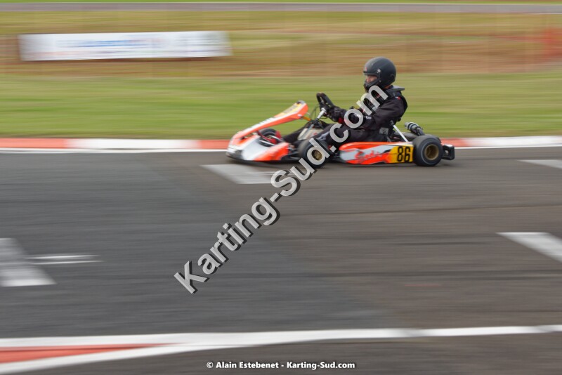 KAR_8985KART-DIM.jpg