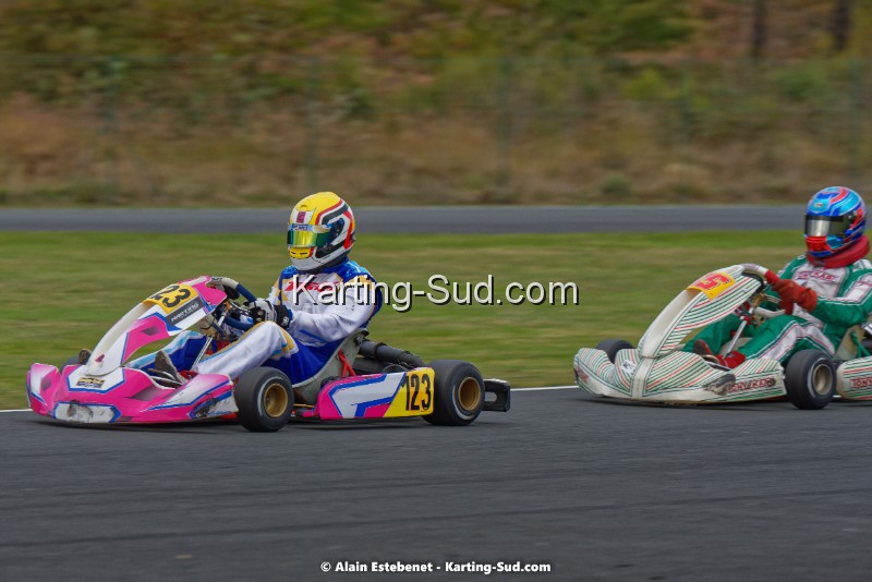 KAR_8367KART-DIM.jpg