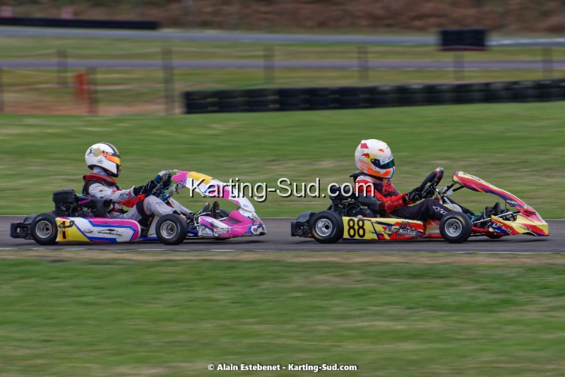 KAR_8598KART-DIM.jpg
