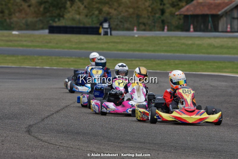 KAR_8614KART-DIM.jpg