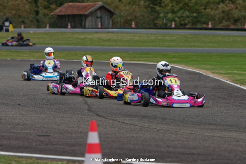 KAR_8637KART-DIM.jpg