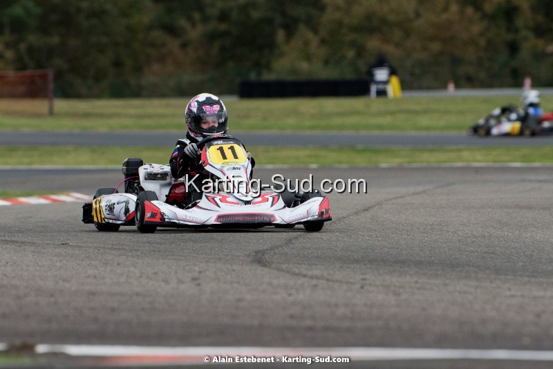 KAR_8685KART-DIM.jpg
