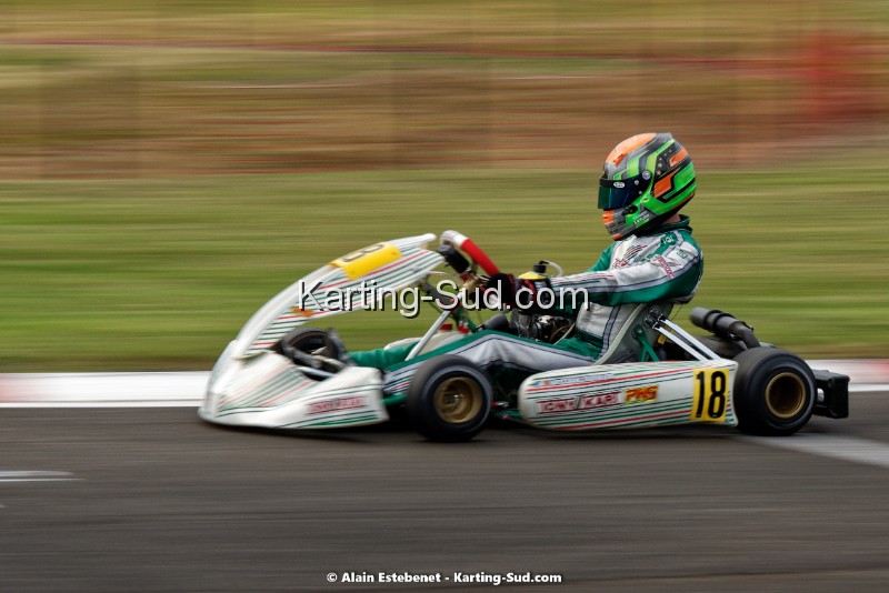 KAR_8974KART-DIM.jpg