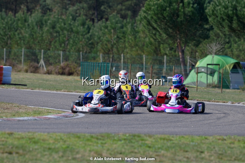 DSC_0241DXO.jpg