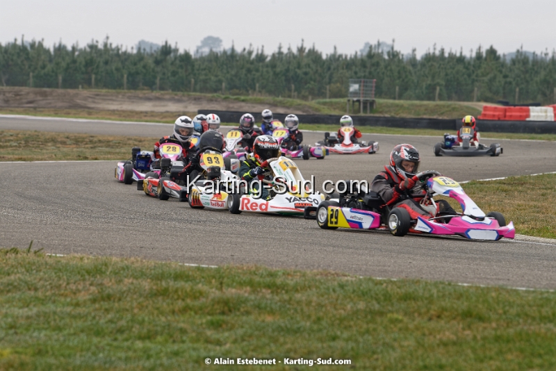 DSC_0550DXO.jpg