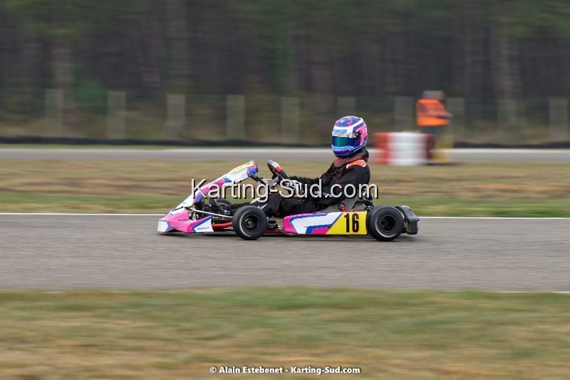 DSC_0601DXO.jpg