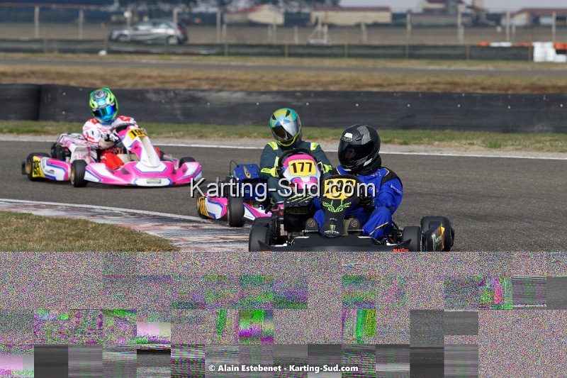 DSC_1048DXO.jpg