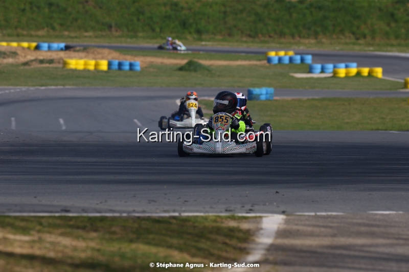 1G8A2010.jpg