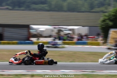 Karting-Sud-2J4A3656