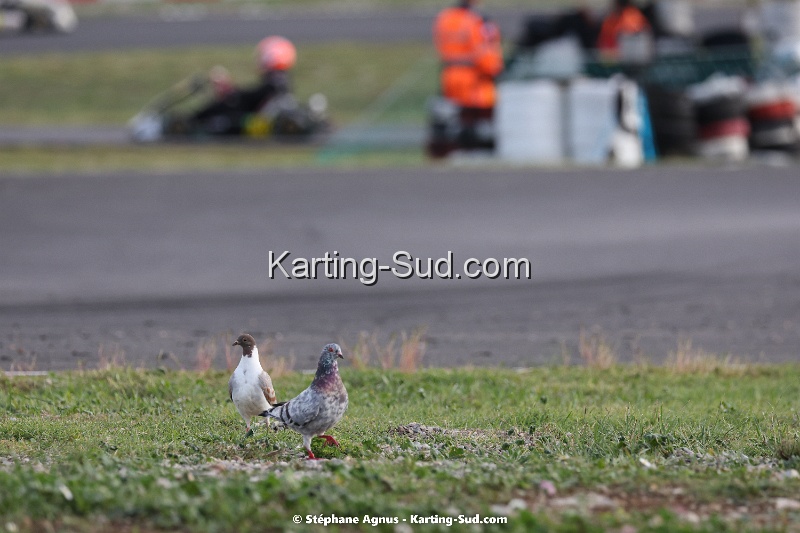 Karting-Sud-2J4A7600.jpg