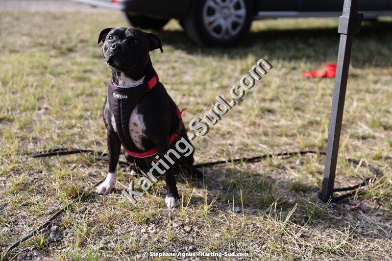 Karting-Sud-2J4A1639.jpg