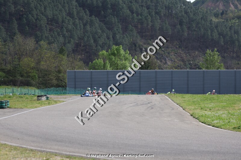 KS-2J4A8486.jpg