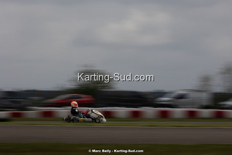 KS-130425-0768.jpg