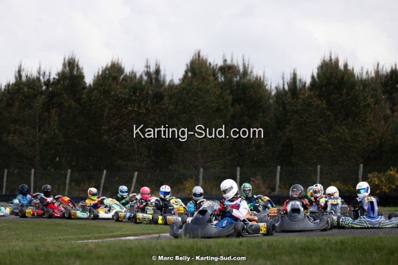 KS-130425-0784.jpg