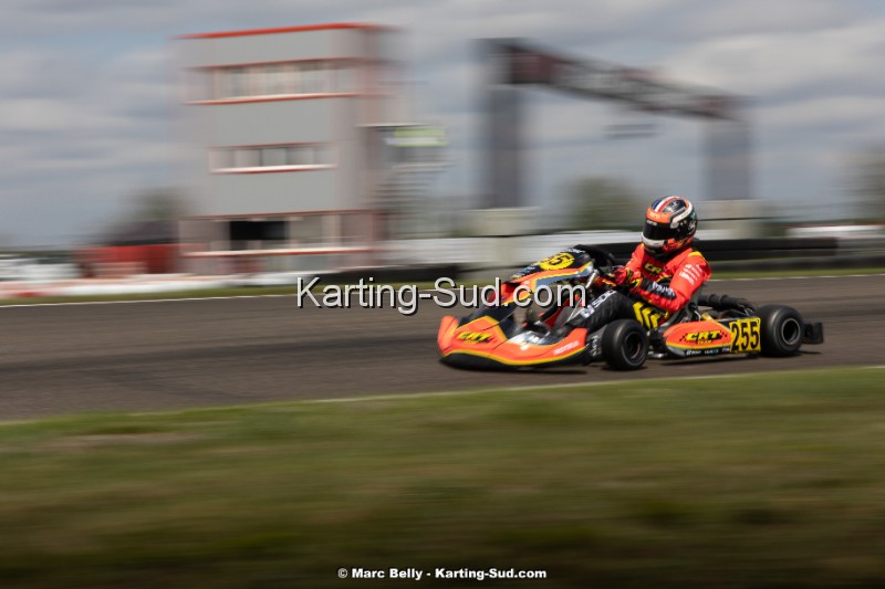 KS-130425-0879.jpg