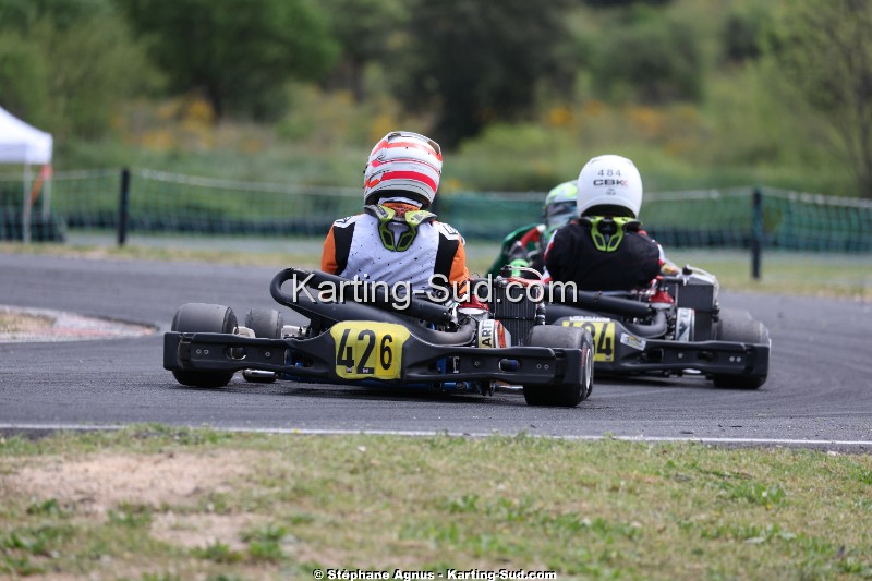 KS-2J4A9931.jpg
