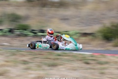 KS-2J4A9176
