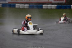 KS-170526-0878.jpg
