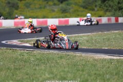 KS-2J4A6265-2.jpg