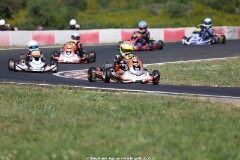 KS-2J4A6268-2.jpg