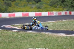 KS-2J4A6304-2.jpg