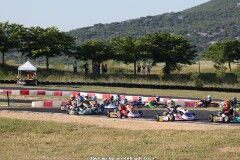KS-2J4A8231.jpg