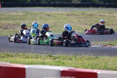 KS-2J4A8254.jpg