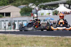 KS-2J4A8708.jpg
