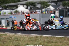 KS-2J4A9764.jpg