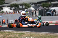 KS-2J4A9833.jpg