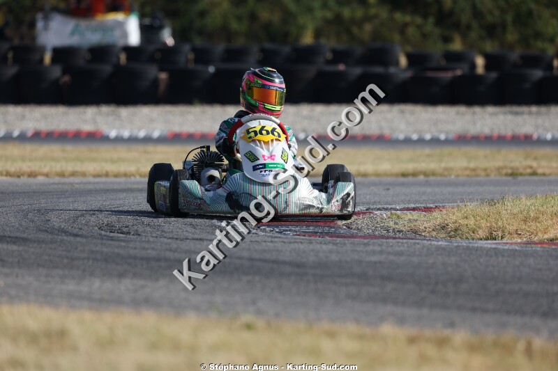 KS-2J4A9236.jpg