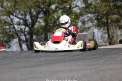 KS-2J4A7890.jpg
