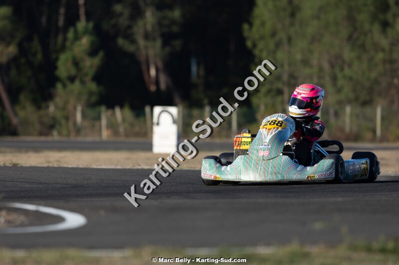 KS-200926-0247.jpg