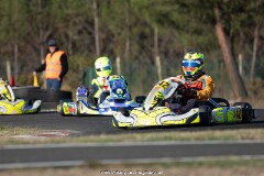 KS-200926-0288.jpg