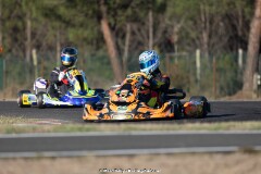 KS-200926-0313.jpg