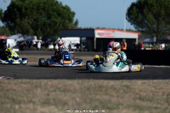KS-200926-0439.jpg
